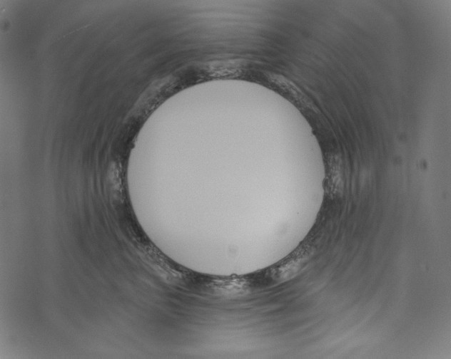 X0000073950667200609181402