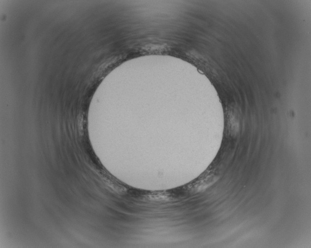 X0000073950668200609181402