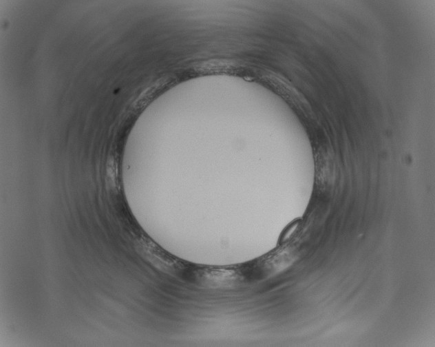 X0000073950669200609181402