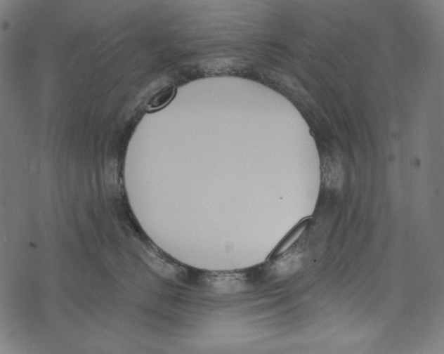 X0000073950670200609181402