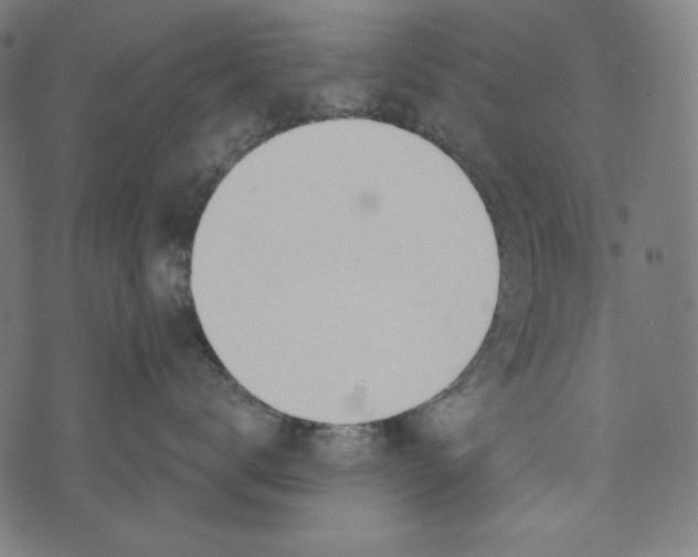 X0000073950672200609181402