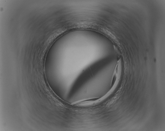 X0000073950673200609181402