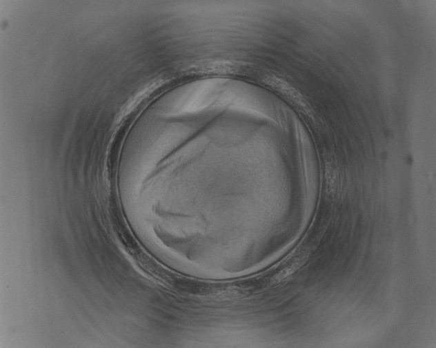 X0000073950674200609181402