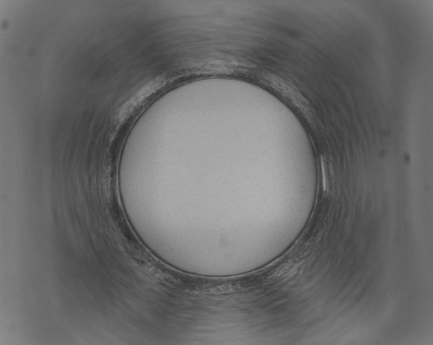 X0000073950675200609181402