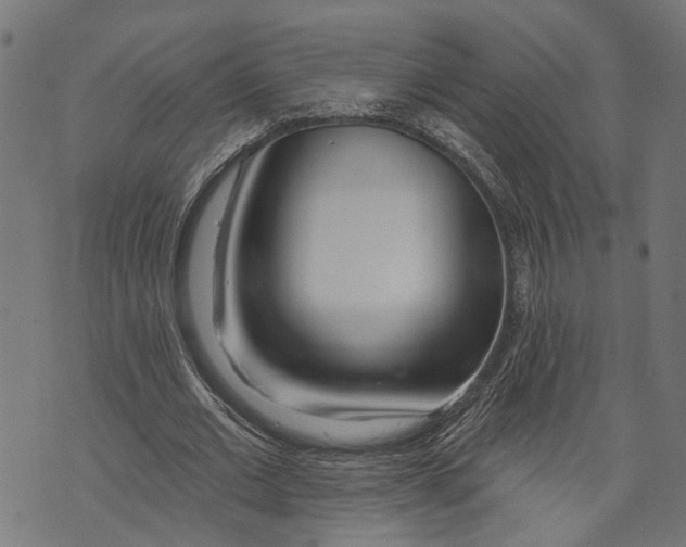 X0000073950677200609181402