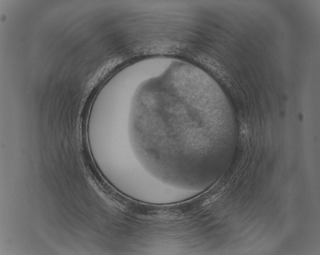 X0000073950678200609181402