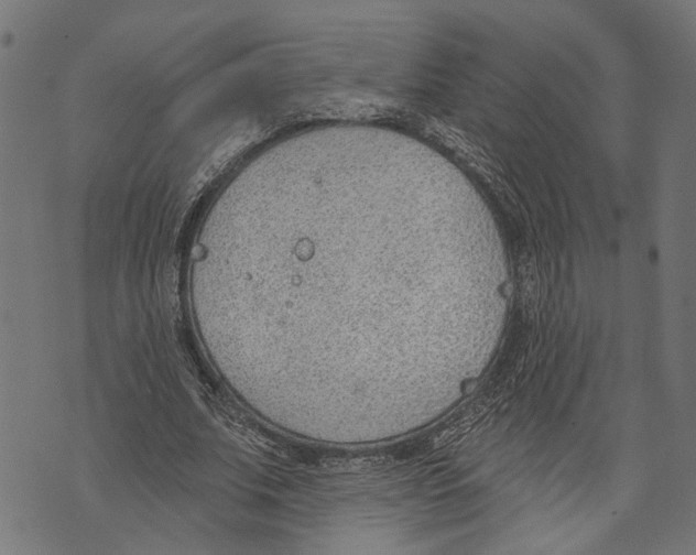 X0000073950679200609181402