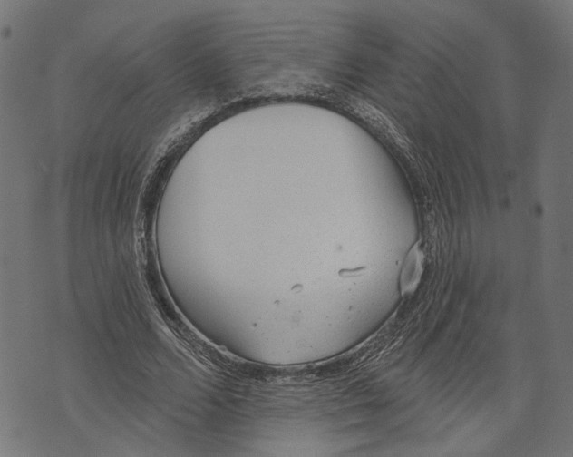 X0000073950680200609181402