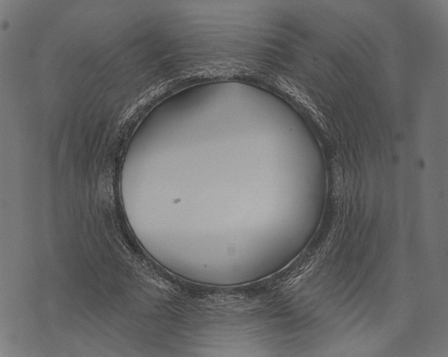 X0000073950681200609181402