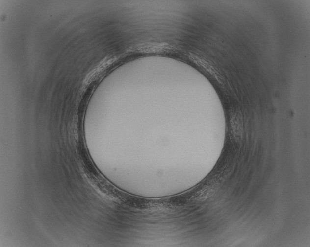 X0000073950682200609181402