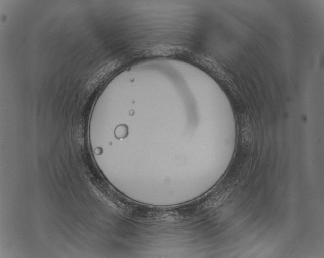 X0000073950683200609181401