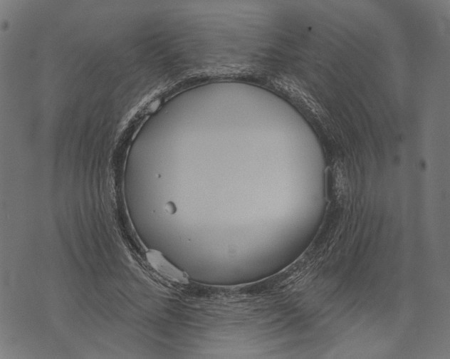 X0000073950684200609181401