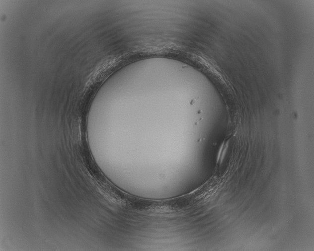 X0000073950685200609181401