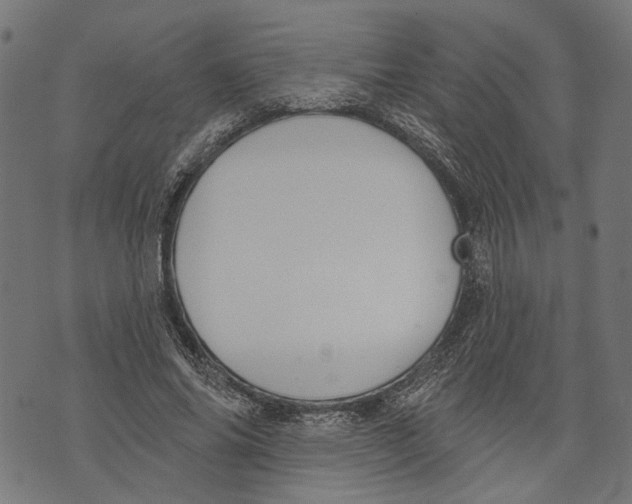 X0000073950686200609181401