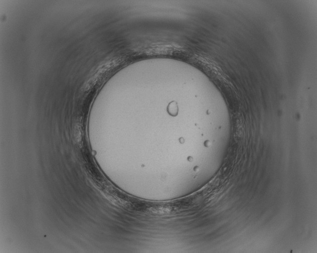 X0000073950687200609181401