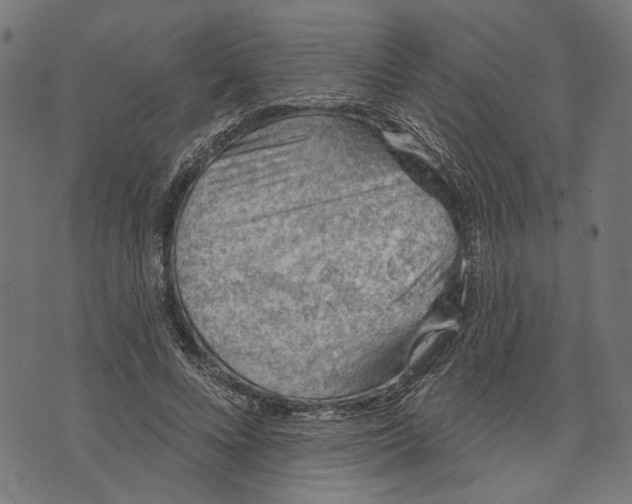 X0000073950688200609181401