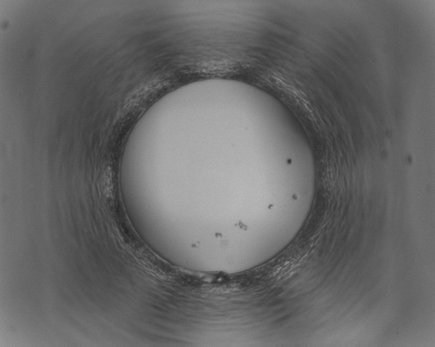 X0000073950689200609181401