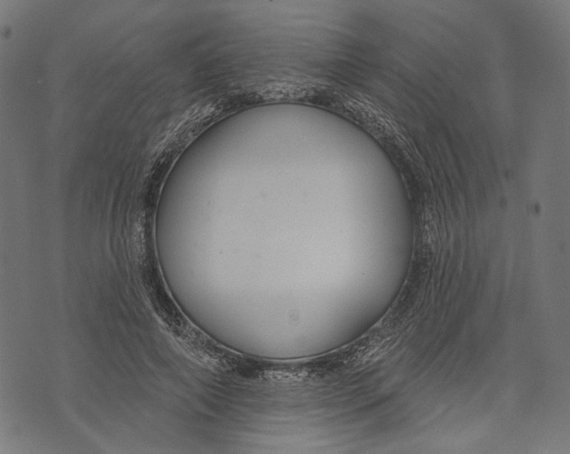 X0000073950690200609181401