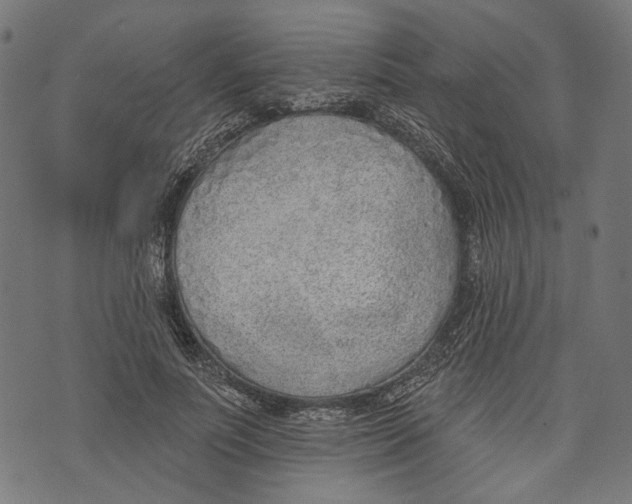 X0000073950691200609181401