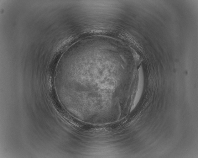 X0000073950692200609181401