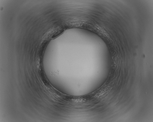 X0000073950693200609181401