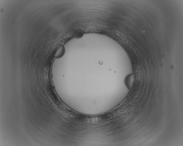 X0000073950695200609181401