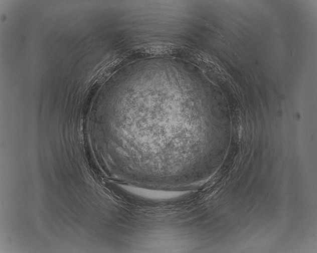 X0000073950696200609181401