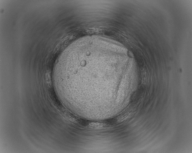 X0000073950699200609181401