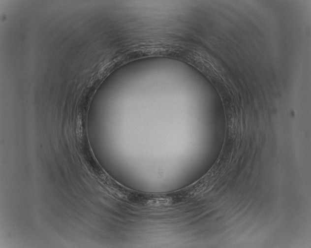 X0000073950700200609181401