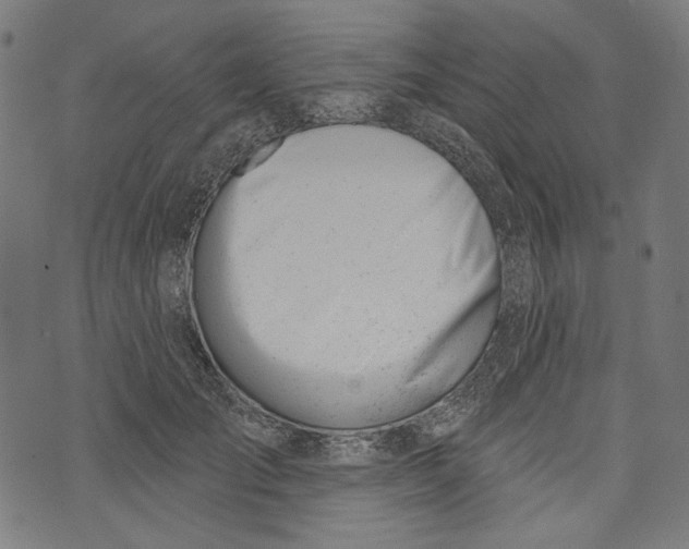 X0000073950701200609181401