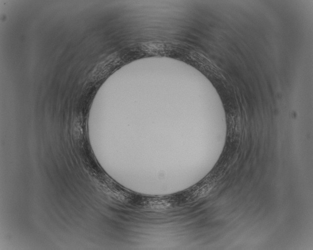 X0000073950702200609181401