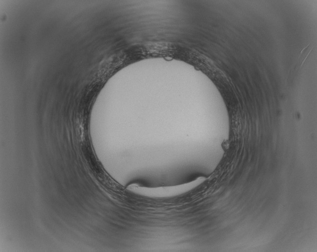 X0000073950703200609181401