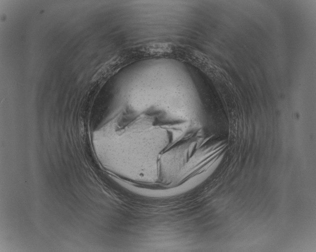 X0000073950704200609181401