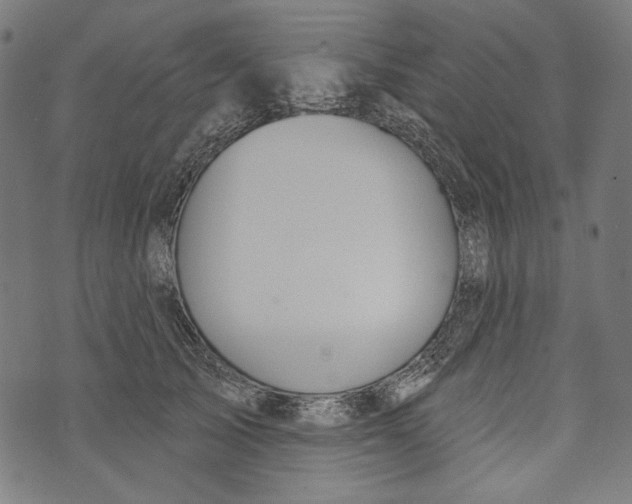 X0000073950705200609181401