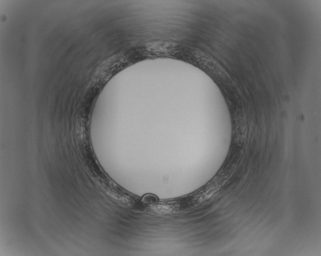 X0000073950706200609181401