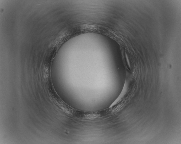 X0000073950708200609181401