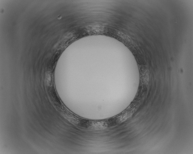 X0000073950709200609181401