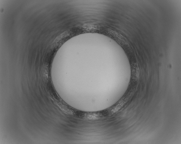 X0000073950710200609181401