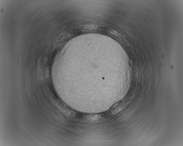 X0000073950711200609181401