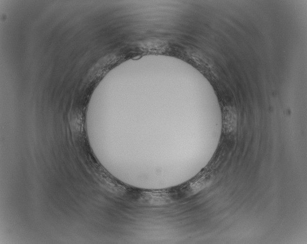 X0000073950713200609181401