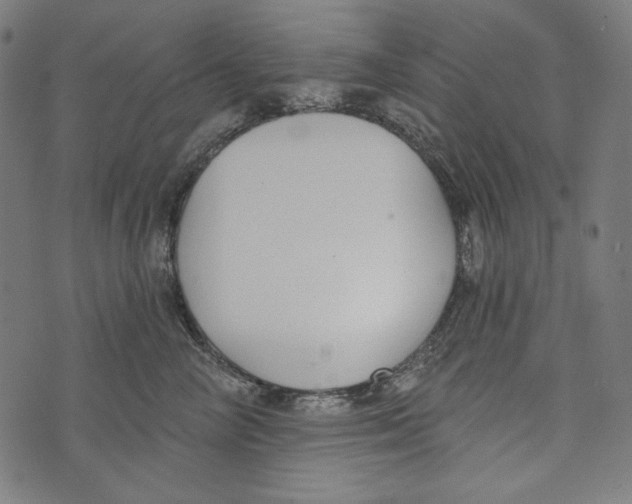 X0000073950714200609181401