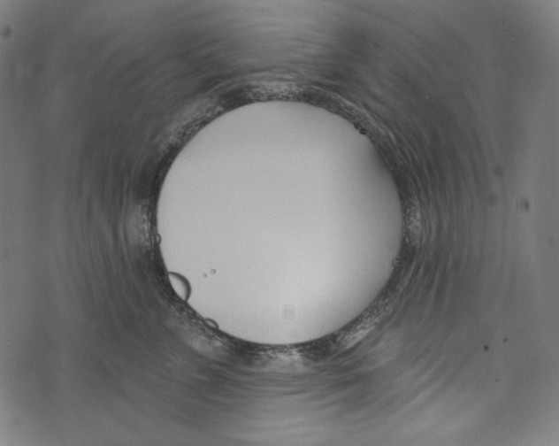 X0000073950715200609181401