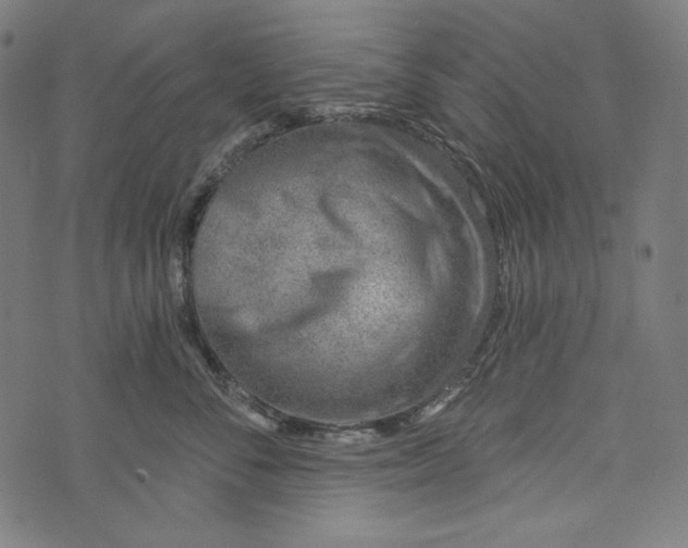 X0000073950716200609181401