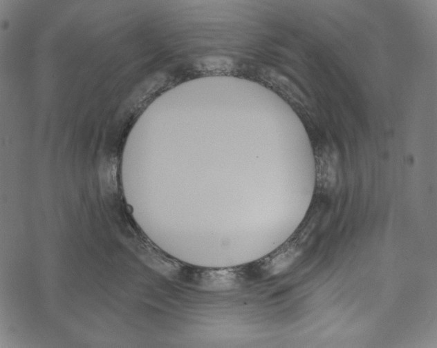 X0000073950717200609181401