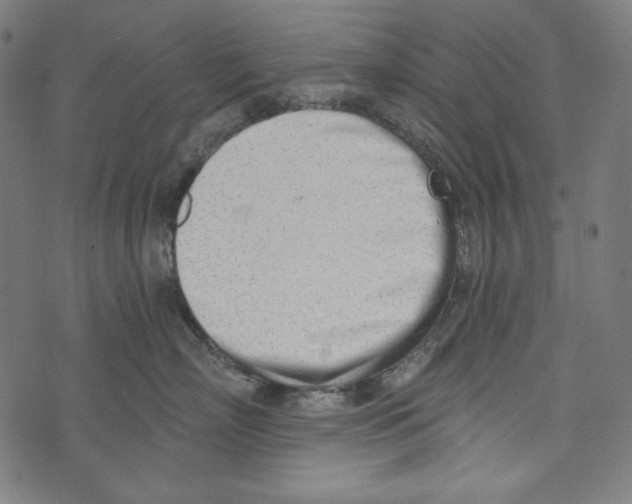 X0000073950718200609181401