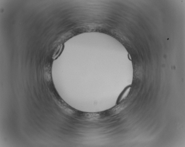 X0000073950719200609181401