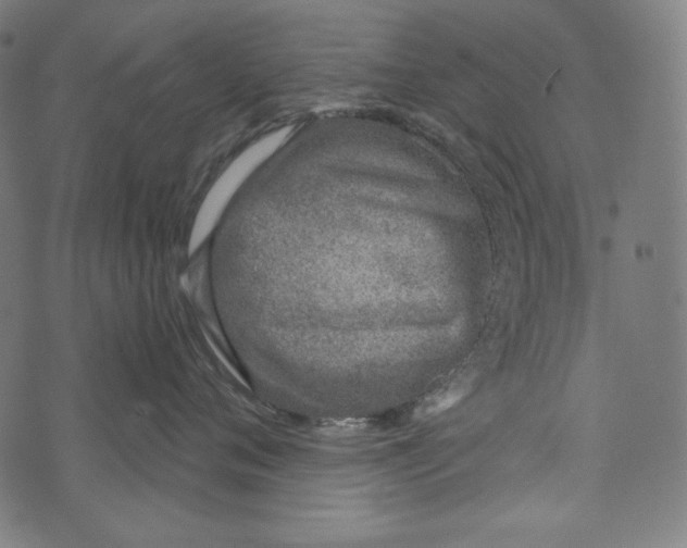 X0000073950720200609181401