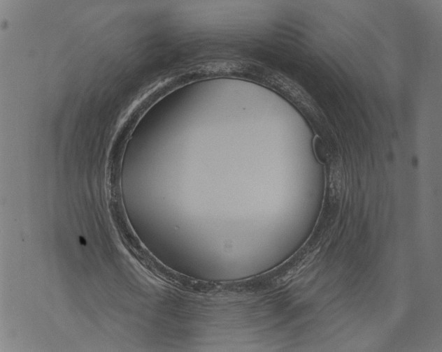 X0000073950722200609181400