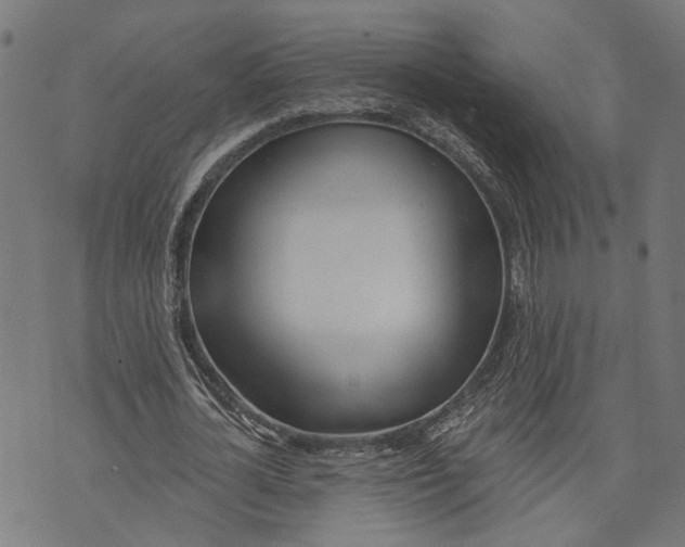 X0000073950724200609181400