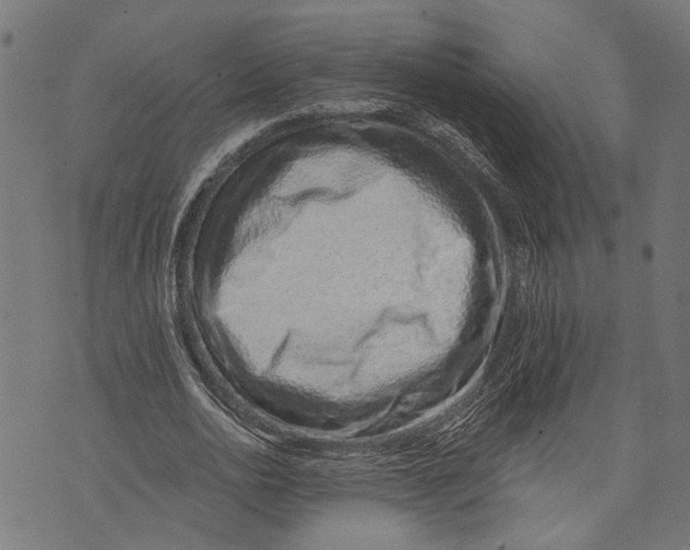 X0000073950726200609181400